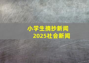 小学生摘抄新闻2025社会新闻