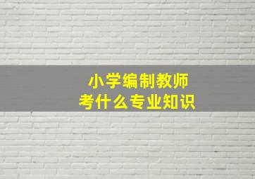 小学编制教师考什么专业知识