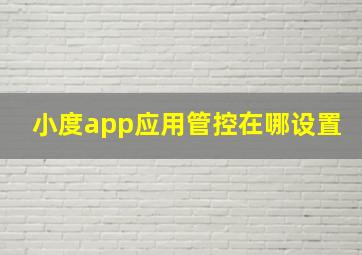 小度app应用管控在哪设置