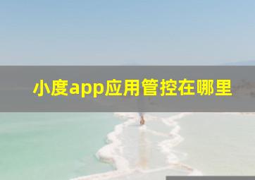 小度app应用管控在哪里