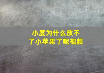 小度为什么放不了小苹果了呢视频