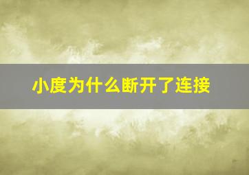 小度为什么断开了连接