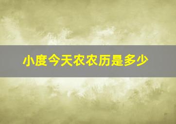 小度今天农农历是多少