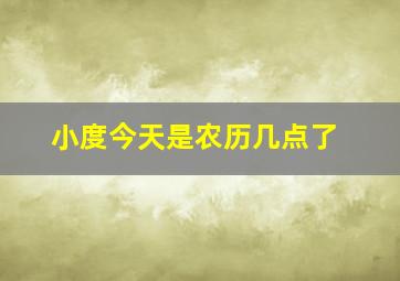 小度今天是农历几点了