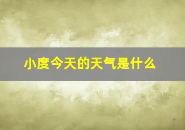 小度今天的天气是什么