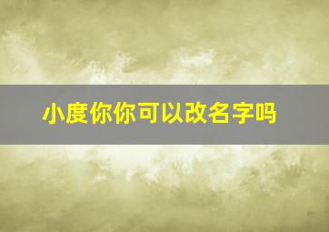 小度你你可以改名字吗