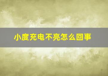 小度充电不亮怎么回事