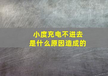 小度充电不进去是什么原因造成的