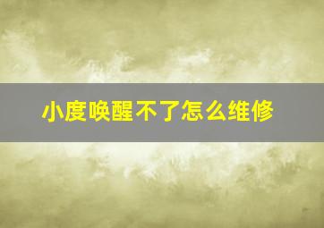 小度唤醒不了怎么维修