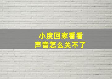 小度回家看看声音怎么关不了