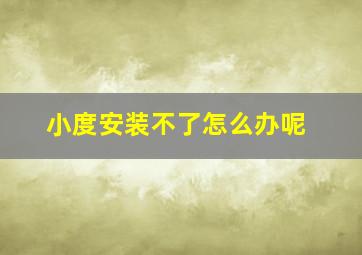 小度安装不了怎么办呢