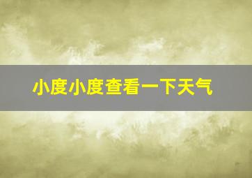 小度小度查看一下天气