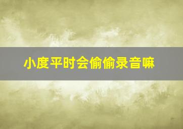 小度平时会偷偷录音嘛