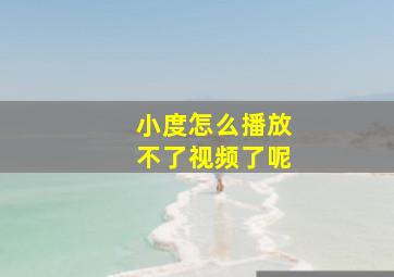 小度怎么播放不了视频了呢