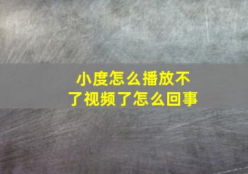 小度怎么播放不了视频了怎么回事