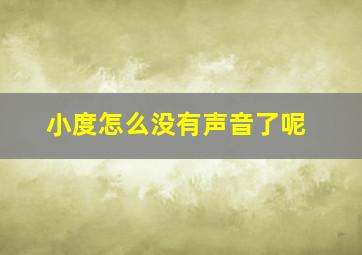 小度怎么没有声音了呢