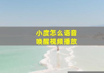 小度怎么语音唤醒视频播放