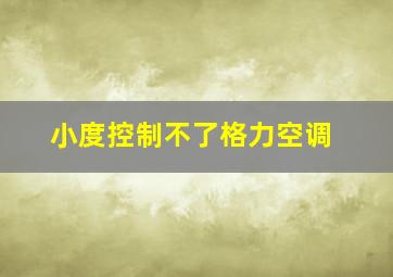 小度控制不了格力空调