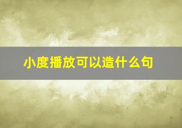 小度播放可以造什么句