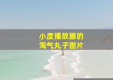 小度播放画的淘气丸子图片