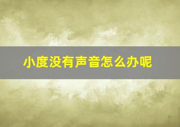 小度没有声音怎么办呢