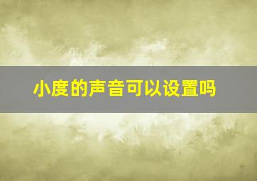 小度的声音可以设置吗