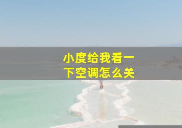 小度给我看一下空调怎么关