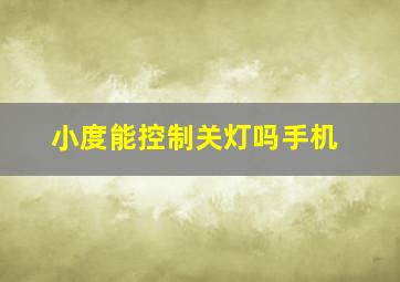 小度能控制关灯吗手机