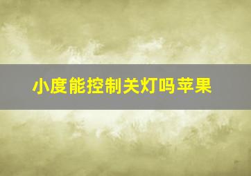 小度能控制关灯吗苹果