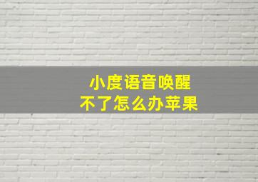 小度语音唤醒不了怎么办苹果