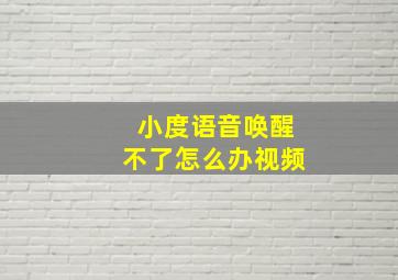 小度语音唤醒不了怎么办视频