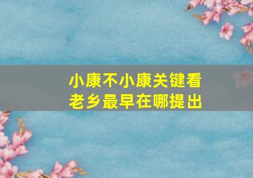 小康不小康关键看老乡最早在哪提出