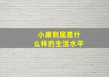 小康到底是什么样的生活水平