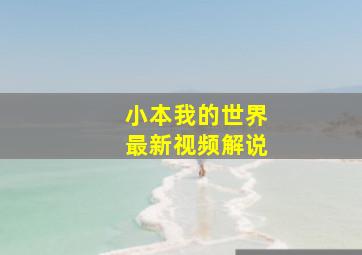 小本我的世界最新视频解说