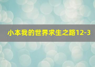 小本我的世界求生之路12-3