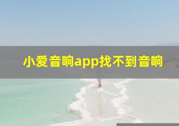 小爱音响app找不到音响