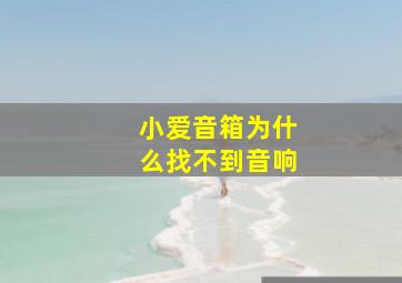 小爱音箱为什么找不到音响