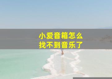 小爱音箱怎么找不到音乐了