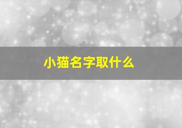 小猫名字取什么