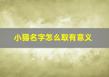 小猫名字怎么取有意义