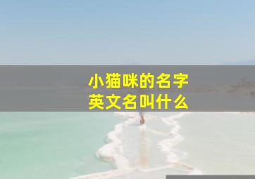 小猫咪的名字英文名叫什么