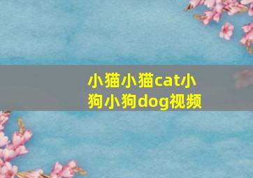 小猫小猫cat小狗小狗dog视频