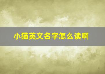 小猫英文名字怎么读啊