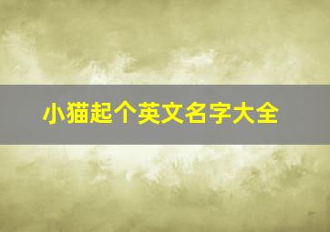 小猫起个英文名字大全