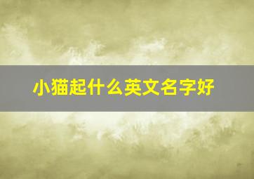 小猫起什么英文名字好