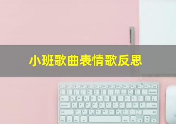 小班歌曲表情歌反思