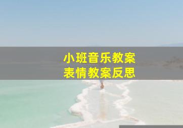 小班音乐教案表情教案反思