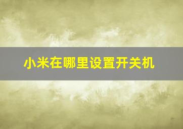 小米在哪里设置开关机