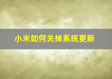 小米如何关掉系统更新