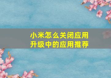 小米怎么关闭应用升级中的应用推荐